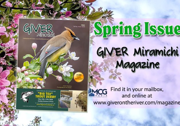 26-Spring-giver-announce-featured-pic