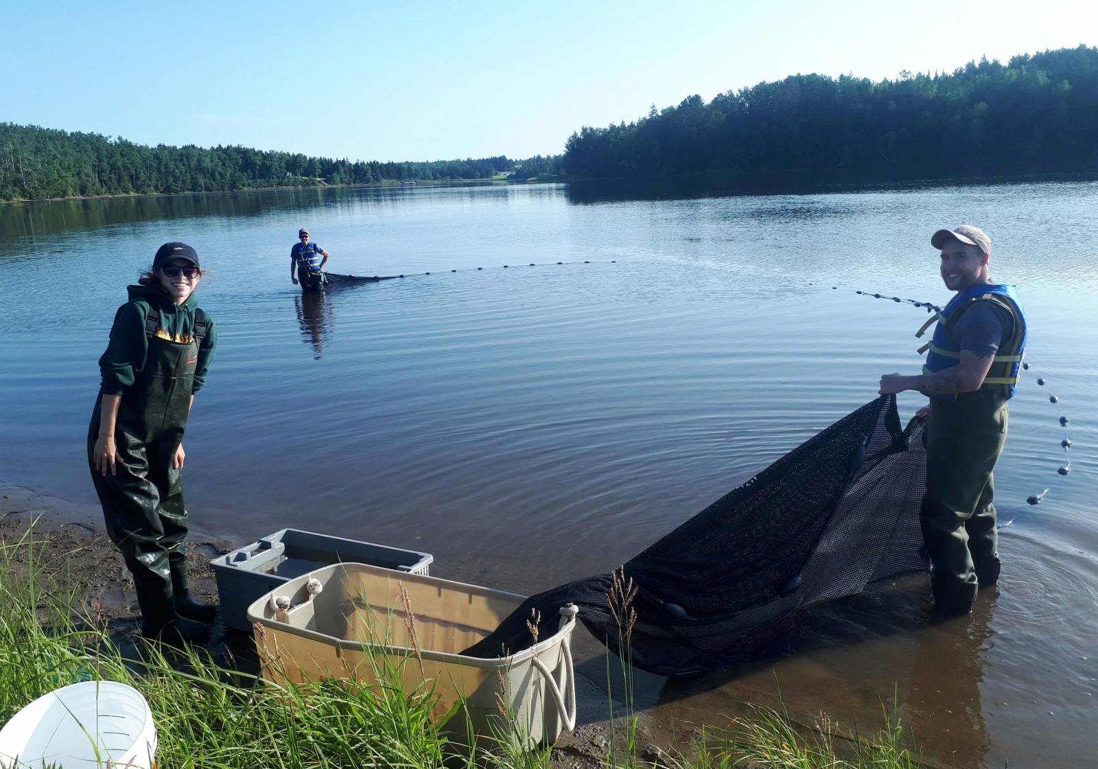 Miramichi Final Salmon Counts for 2019-media-3