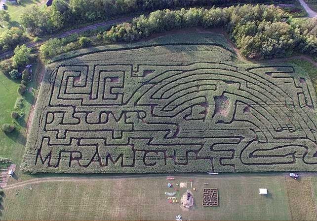 Aerial View of the Fletchers Corn Maze