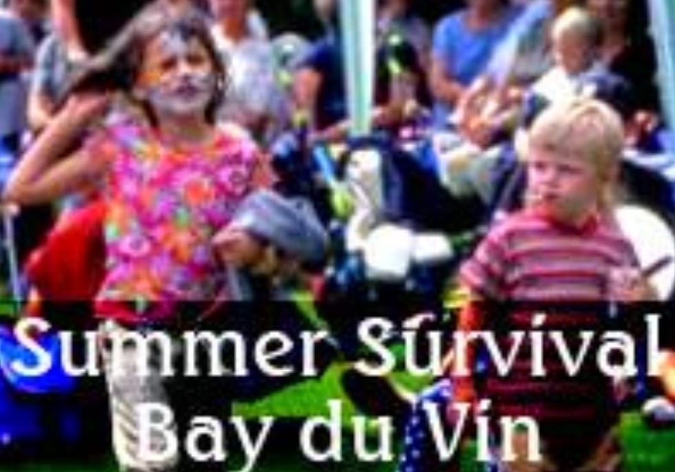 BAY DU VIN SummerSurvival