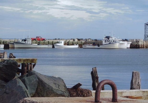 Bill Anderson Photography Show & Sale at Ritchie Wharf