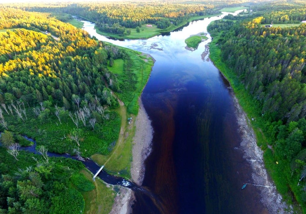 Black Brook Salmon Club junction pool at the mouth of Cains River.