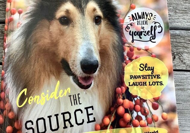 Cathy Carnahan Book Featured Pic