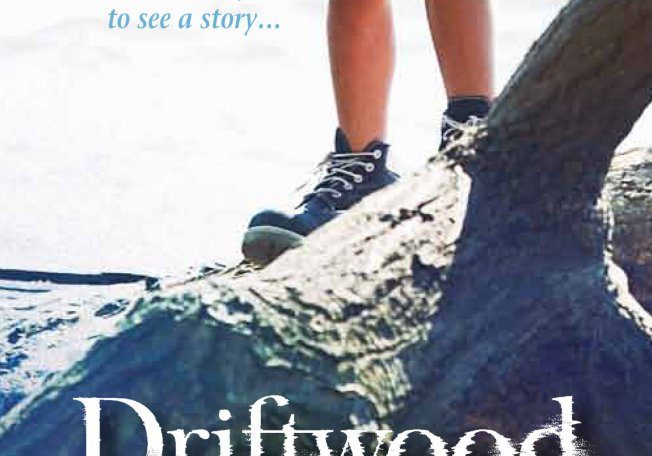 Driftwood by Valerie Sherrard