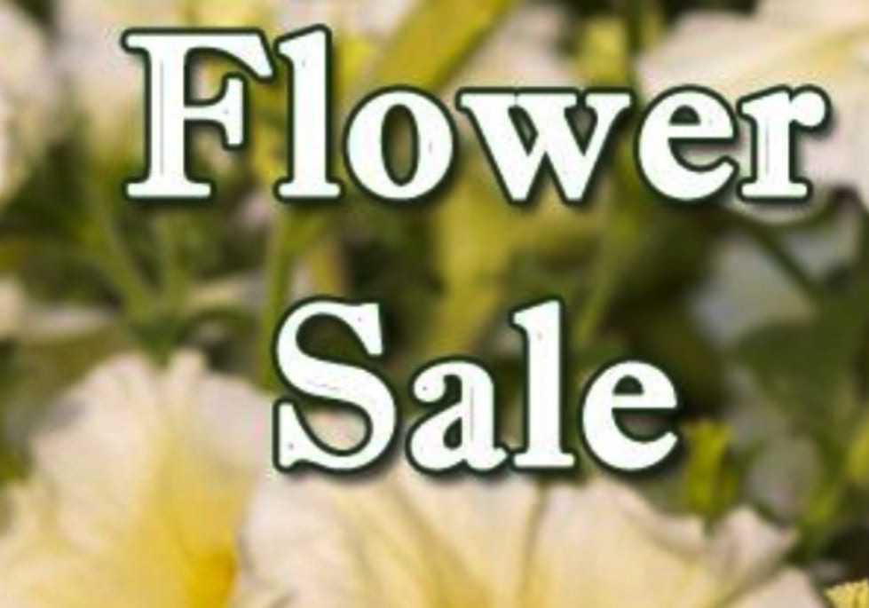 Flower-Sale-Sign