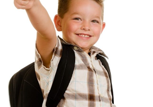 Happy schoolboy wearing backpack