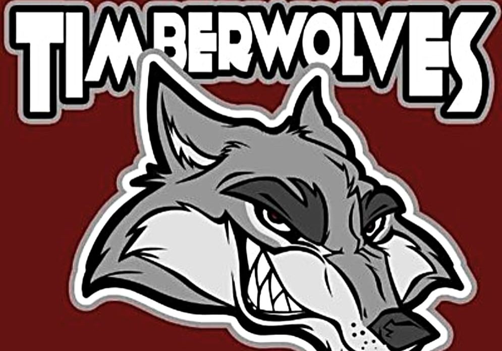 Logo of Miramichi Timberwolves