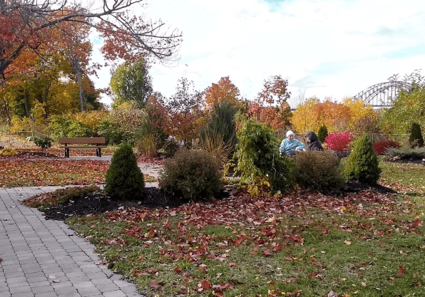 Mount Gardens Giver Nov 20 (Small)