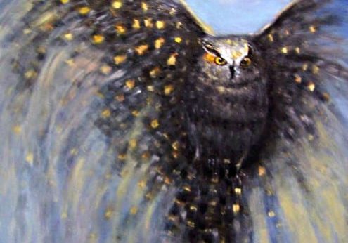 Owl In Flight By Edie Szabo Englehart