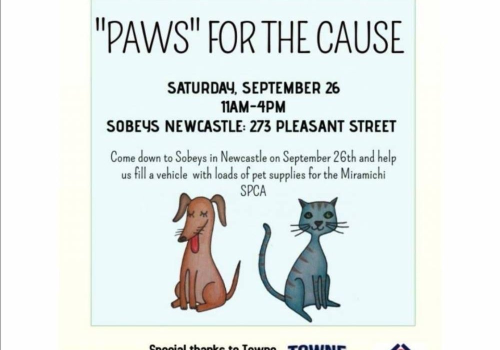 Paws-for-Cause