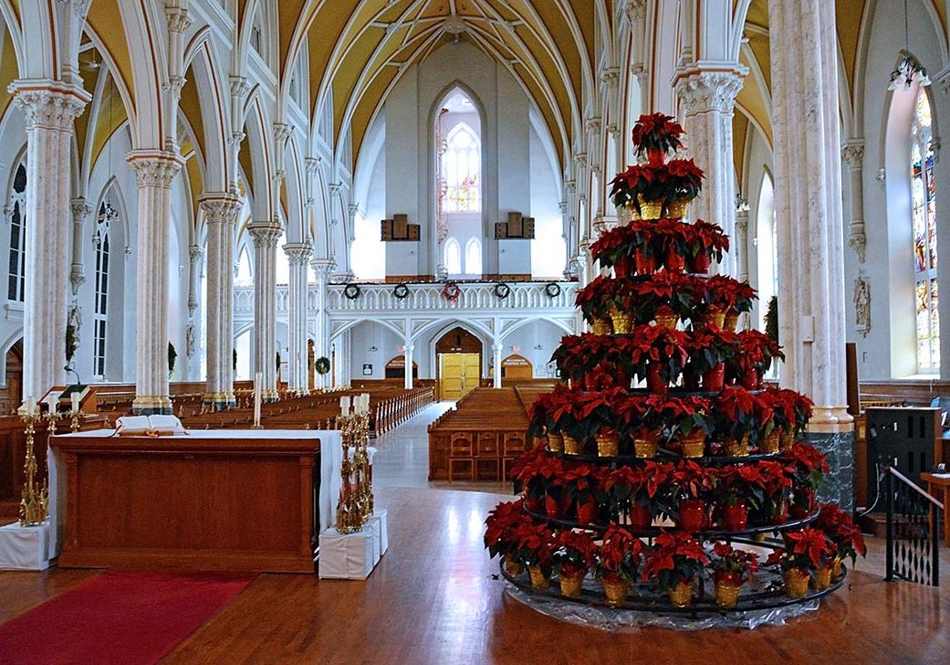 Saint-Michaels-Poinsettia-Tree-Bonnie-Coughlan