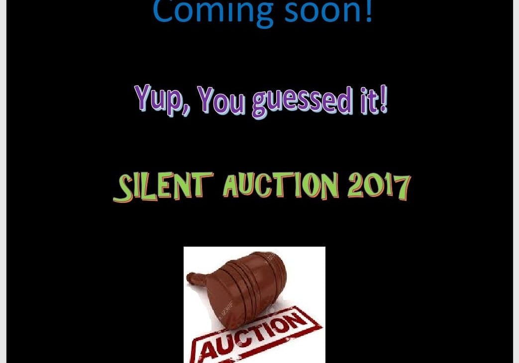 Silent-Auction-photo-2017