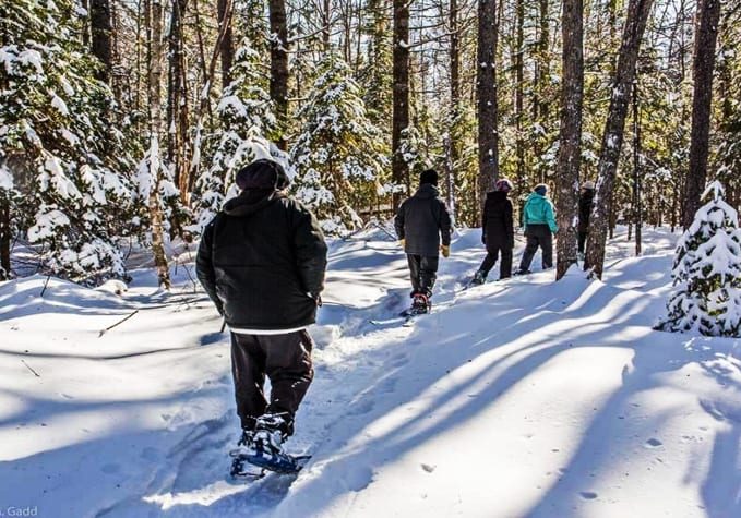 Snowshoe-Trail-2-1