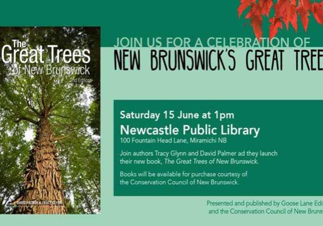 The-Great-Trees-of-New-Brunswick