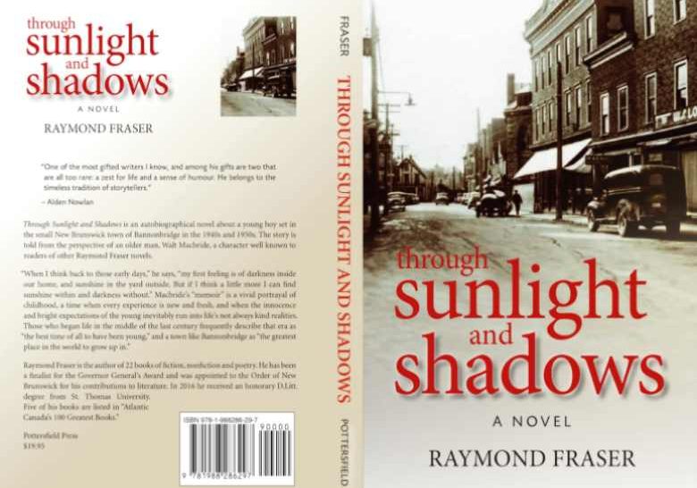 Through-Sunlight-and-Shadows-Book-Cover