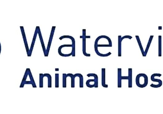 Waterview-Animal-Hospital