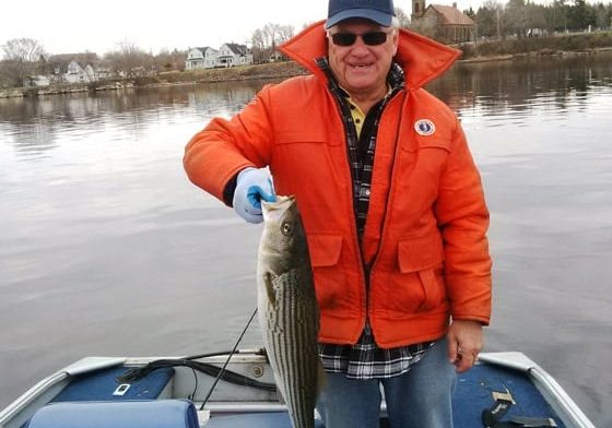 Bill Seymour with a nice striped bass caught last week