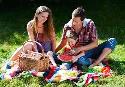 family-picnic