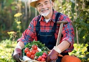 farmer-vegetables