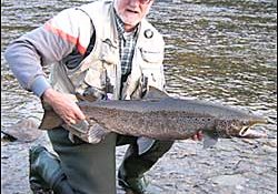 Fishing the Miramichi River