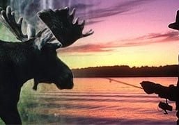 fishingwildlifelicensing