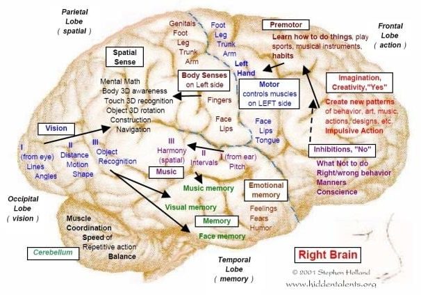 Functions of the right side of the brain, image courtesy Stephen Holland. Click to enlarge.