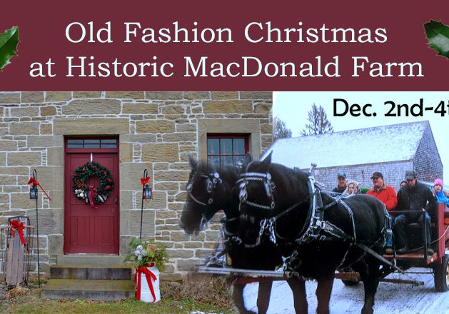 macdonald-farm-christmas-post-heading