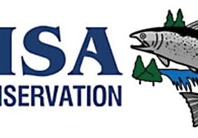 msa_logo