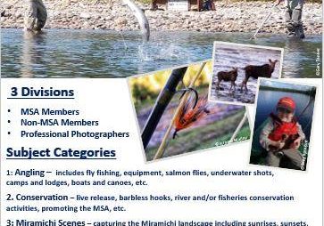 msaphotocontest