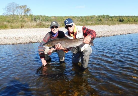 Ledges guide Lloyd Lyons with salmon caught by Bob Lauer