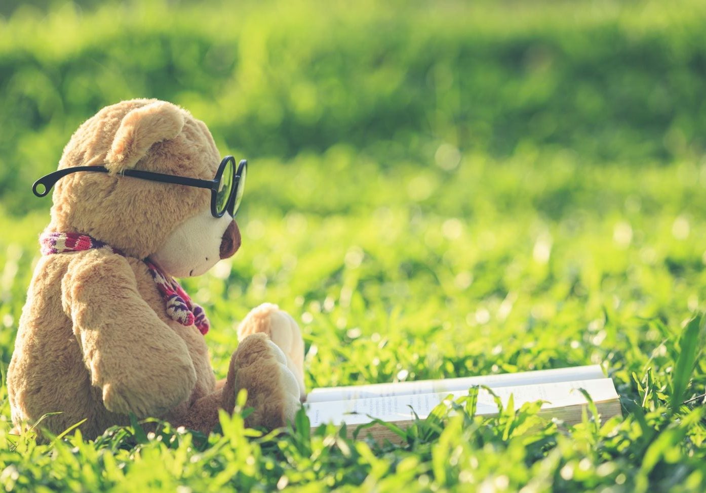 teddy-bear-reading-book-glasses