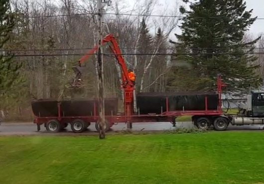 treeremoval