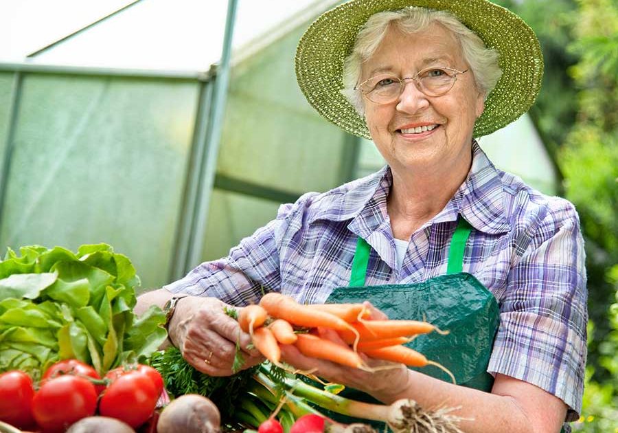 vegetables-garden